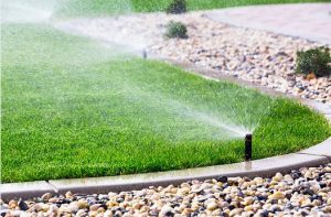 reno summer | Ricardo S Lawn Mower Repair 